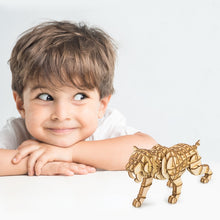 Load image into Gallery viewer, DIY Wooden Tiger Kit